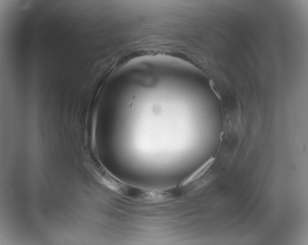 X0000069410623200605121243