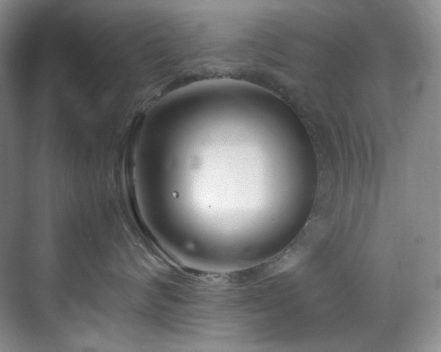X0000069410624200605121243