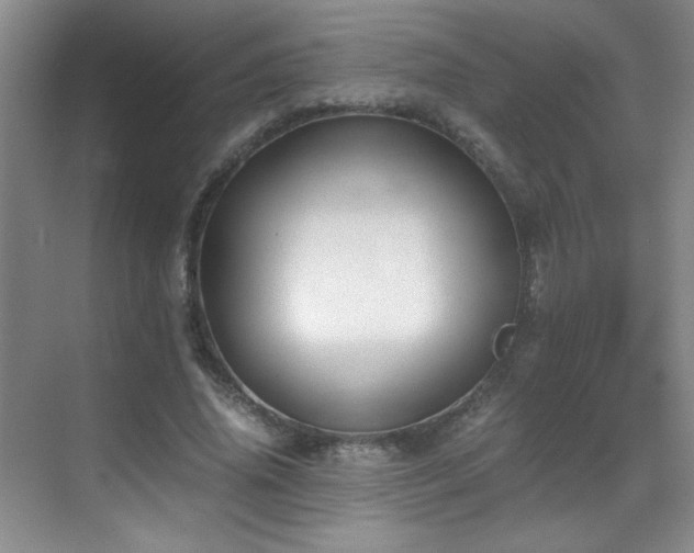 X0000069410636200605121242