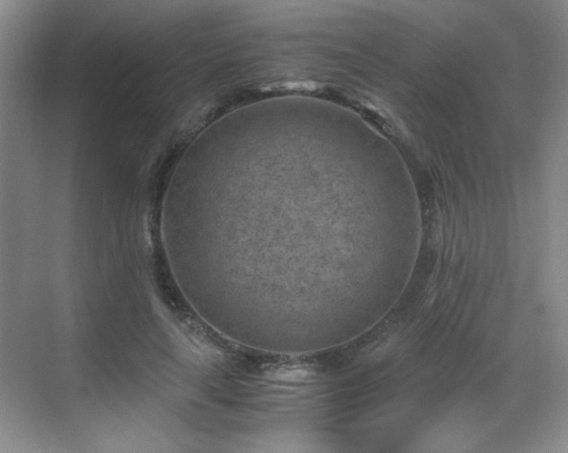 X0000069410643200605121242