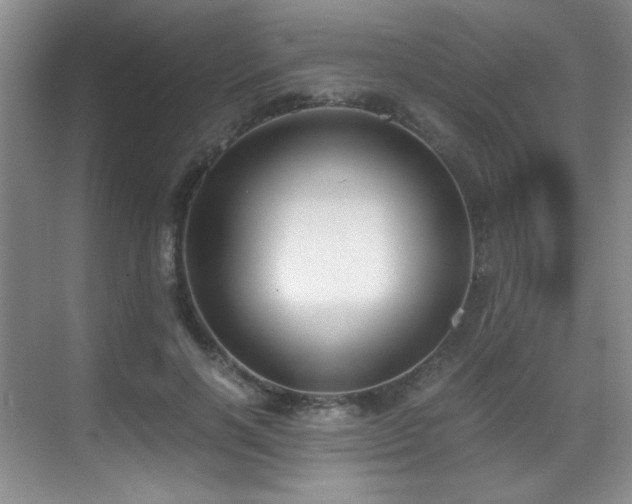 X0000069410646200605121242