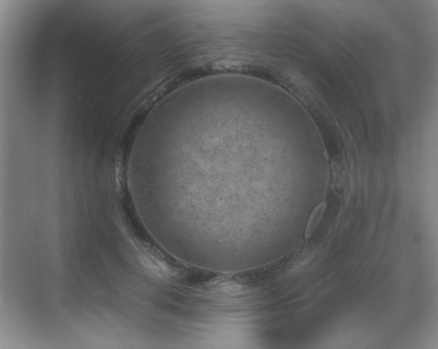 X0000069410648200605121242