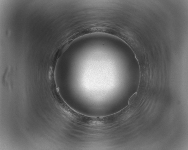 X0000069410649200605121242