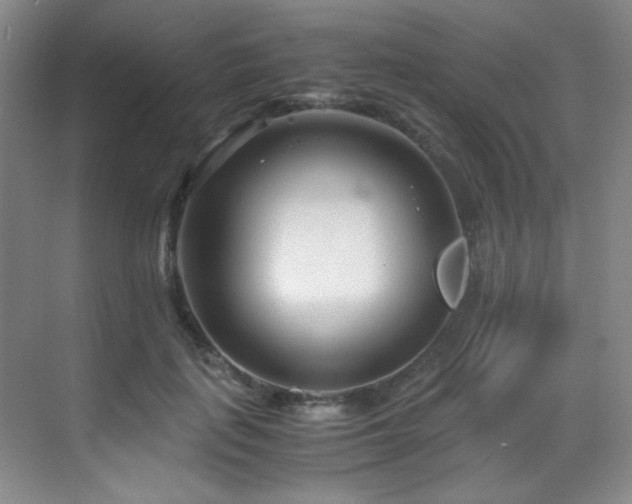 X0000069410651200605121242