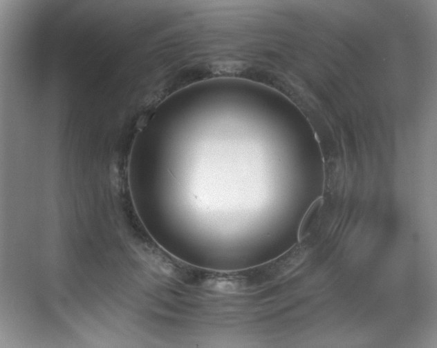 X0000069410655200605121242