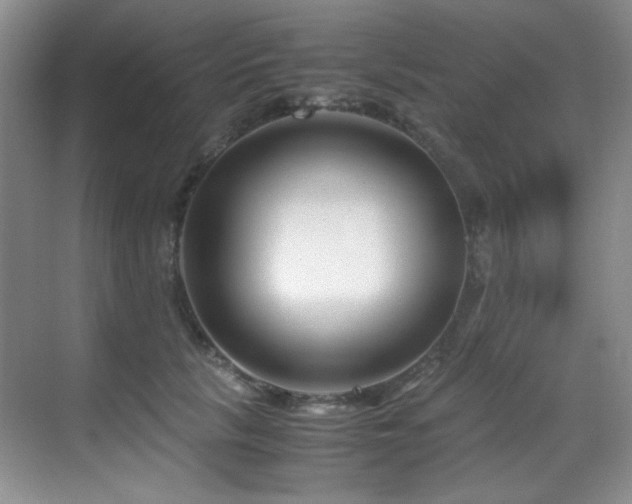 X0000069410657200605121242