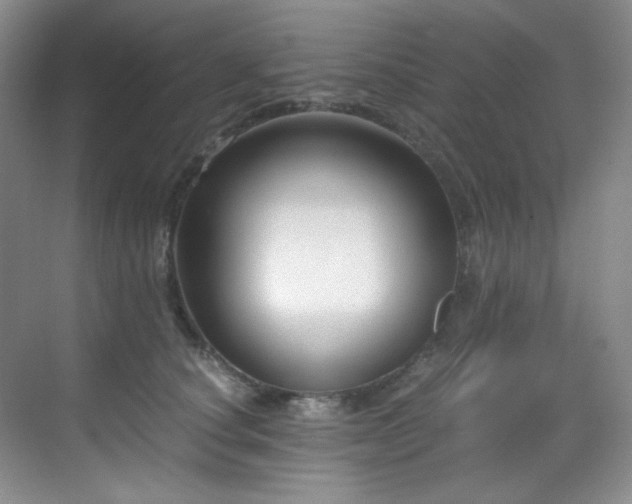 X0000069410660200605121242