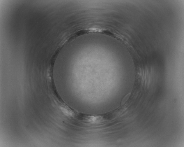 X0000069410663200605121242