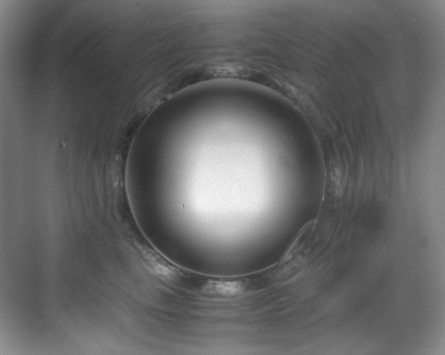 X0000069410665200605121242