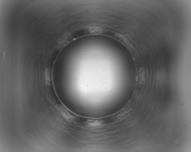 X0000069410667200605121242