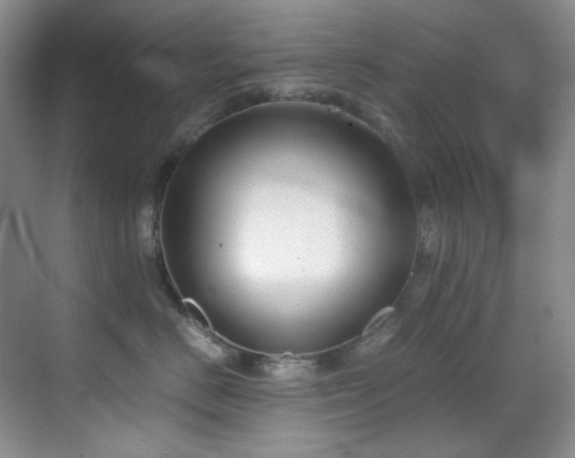 X0000069410670200605121242