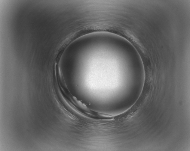 X0000069410681200605121242