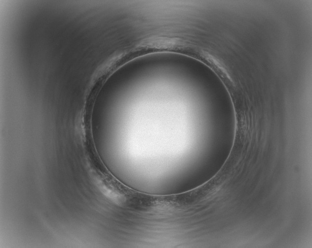 X0000069410682200605121242