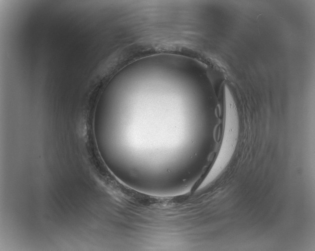 X0000069410687200605121241