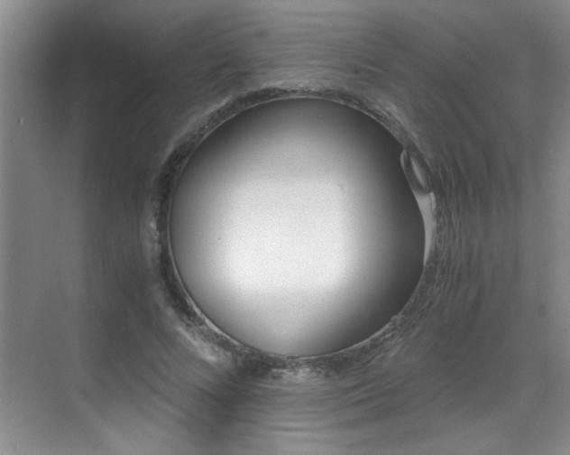 X0000069410688200605121241