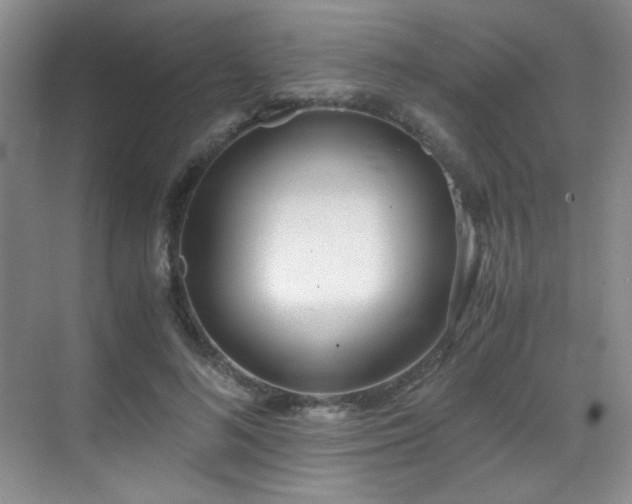 X0000069410692200605121241