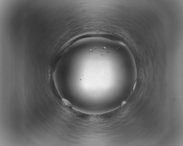 X0000069410697200605121241