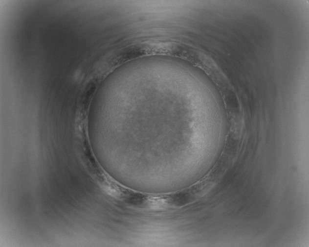 X0000069410701200605121241