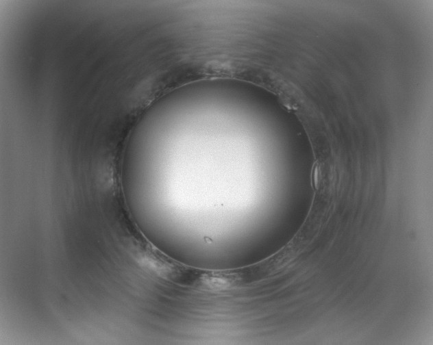 X0000069410706200605121241