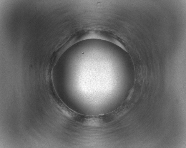 X0000069410708200605121241