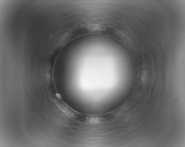 X0000069410710200605121241