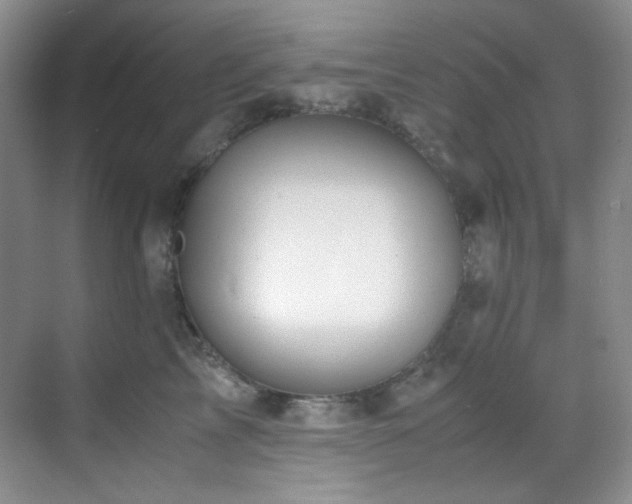 X0000069410713200605121241