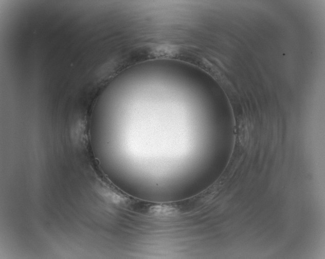 X0000069410714200605121241