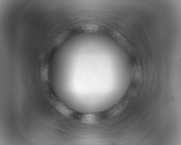 X0000069410717200605121241