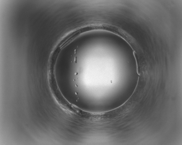 X0000069410728200605121240