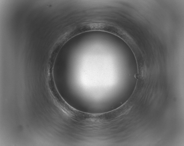 X0000069410733200605121240