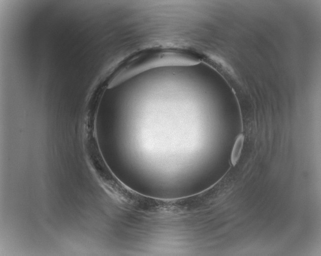 X0000069410736200605121240