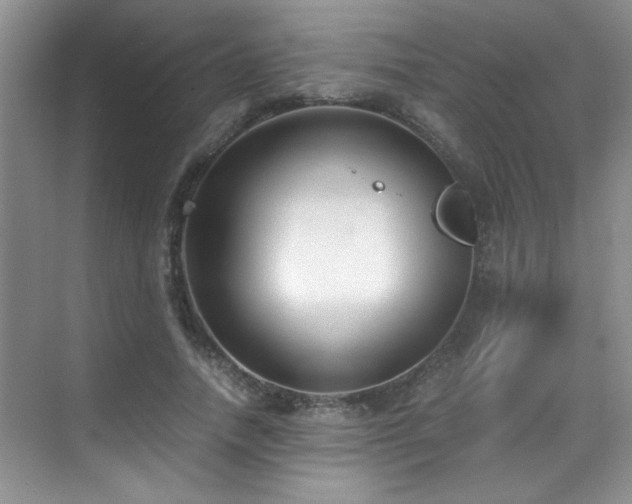 X0000069410738200605121240