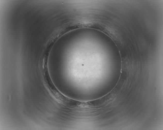 X0000069410742200605121240