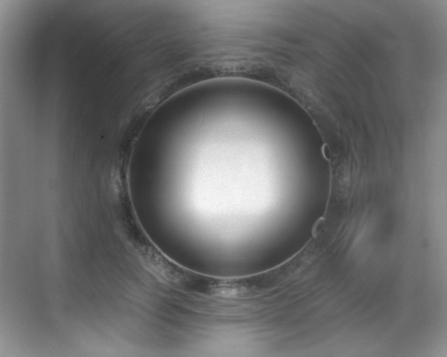 X0000069410746200605121241