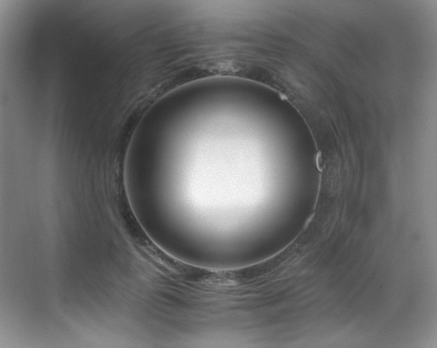 X0000069410747200605121241
