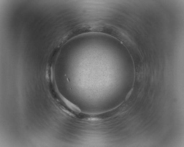 X0000069410748200605121241
