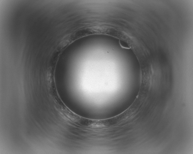 X0000069410749200605121241