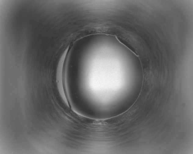 X0000069410752200605121241