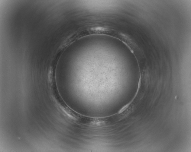 X0000069410760200605121241