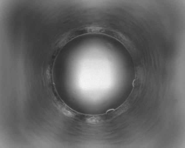 X0000069410761200605121241