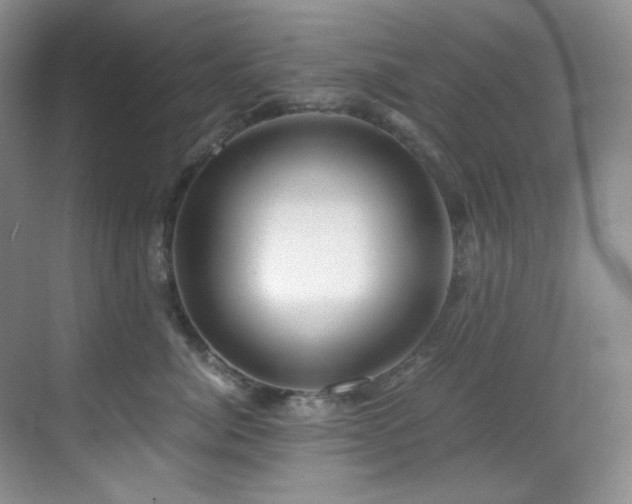 X0000069410764200605121241