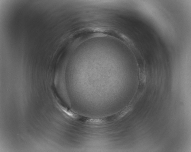 X0000069410766200605121241