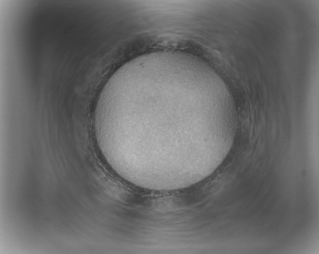 X0000069410769200605121240