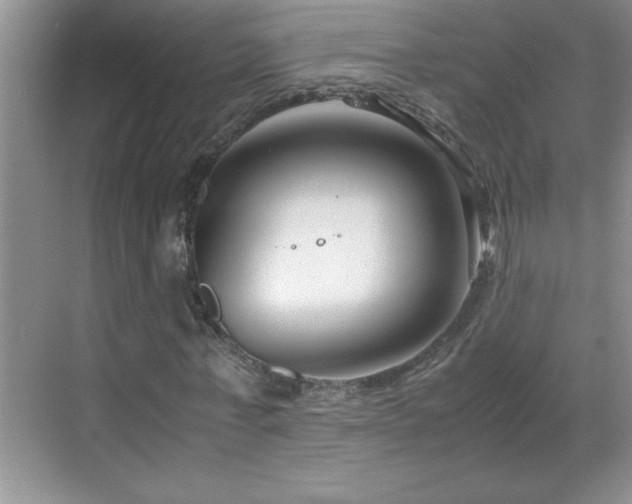 X0000069410771200605121240