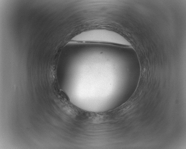 X0000069410772200605121240