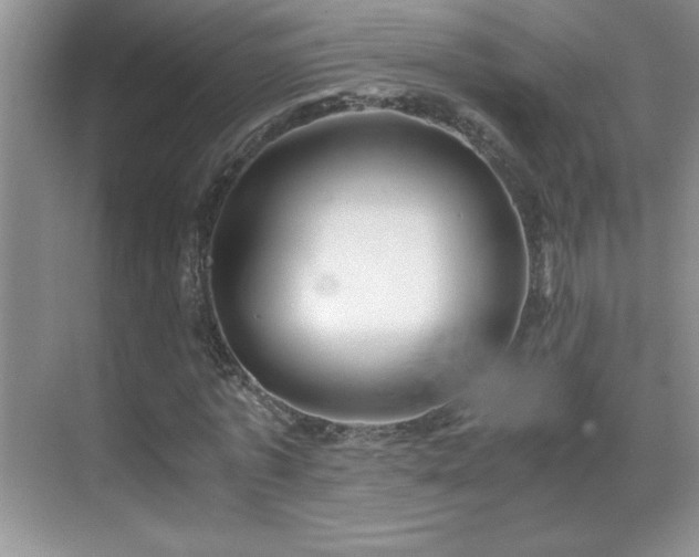 X0000069410773200605121240