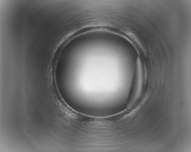 X0000069410781200605121240