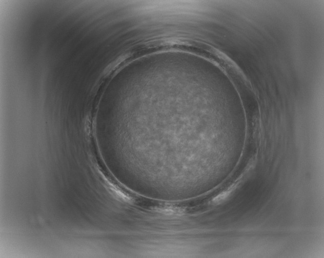 X0000069410785200605121240