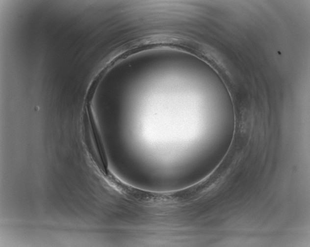 X0000069410786200605121240