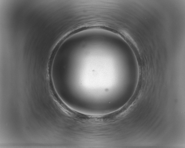 X0000069410789200605121240